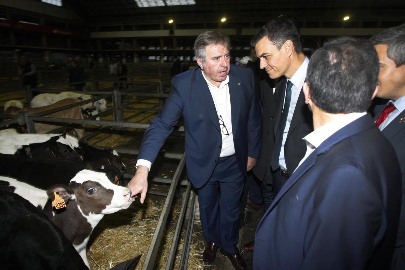 El Falcon del presidente del Gobierno ha aterrizado a las 16:30 en el aeropuerto Seve Ballesteros | Tras visitar la neocueva y las salas del museo, el líder socialista estará en el Mercado Nacional de Ganados de Torrelavega y mantendrá un encuentro con jóvenes en la bolera Severino Prieto 