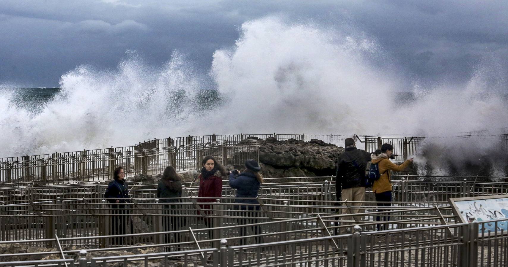 Parque de la península de La Magdalena.
