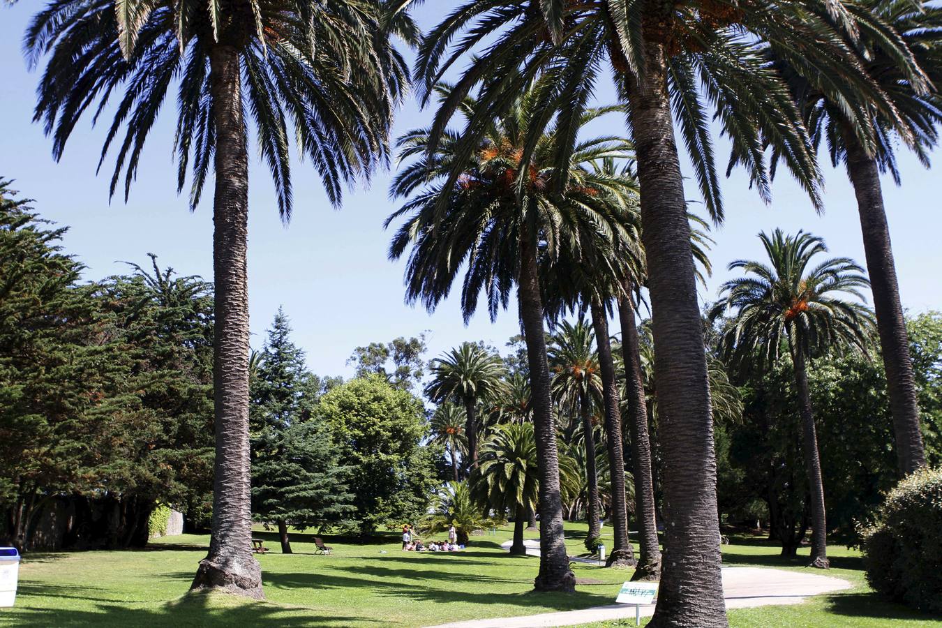 Parque de Mataleñas.