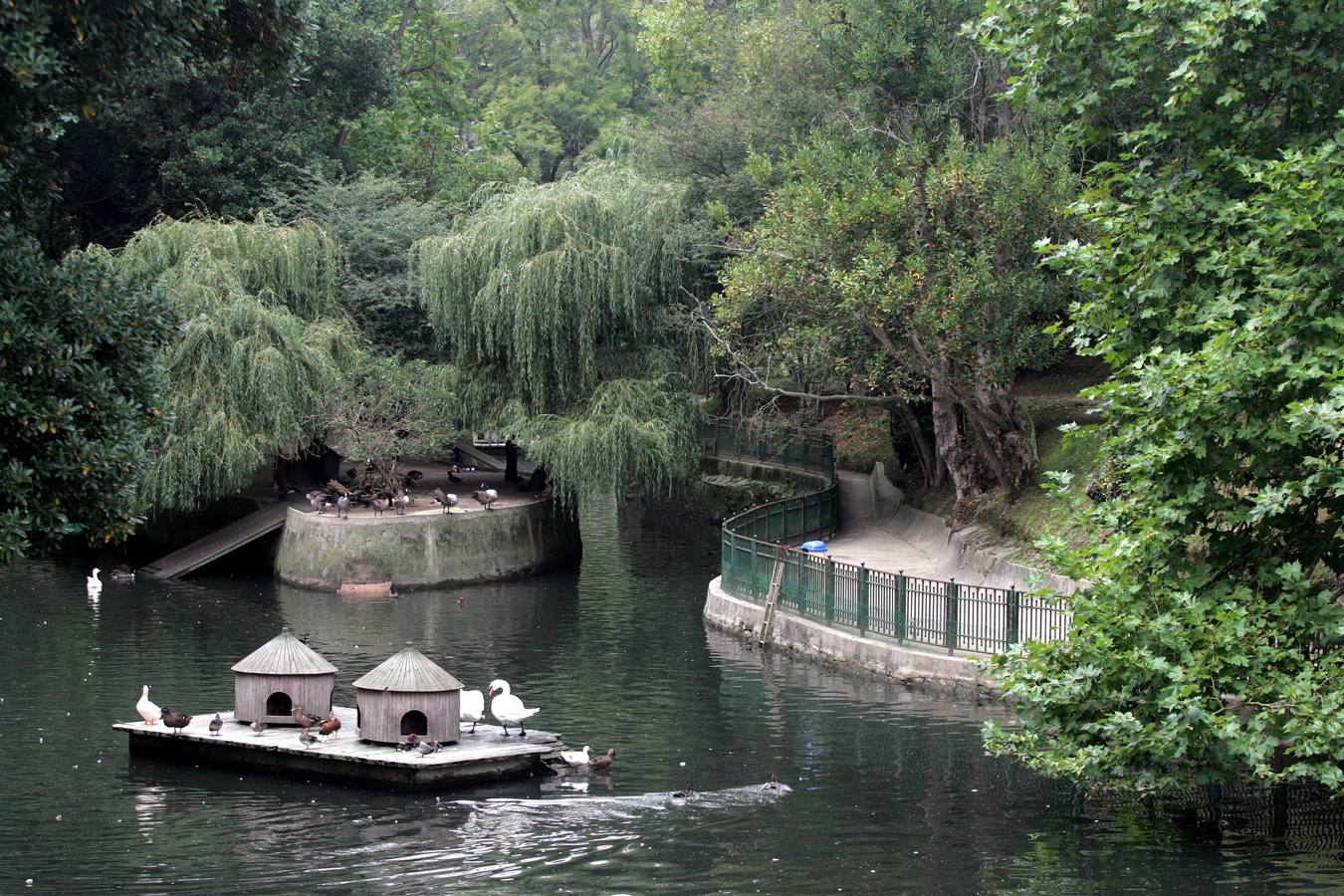 Parque de Mataleñas.