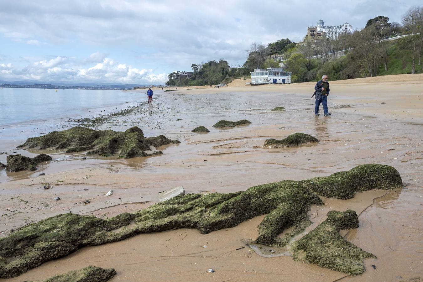 Fotos: La Playa de La Magdalena, ayer en la bajamar