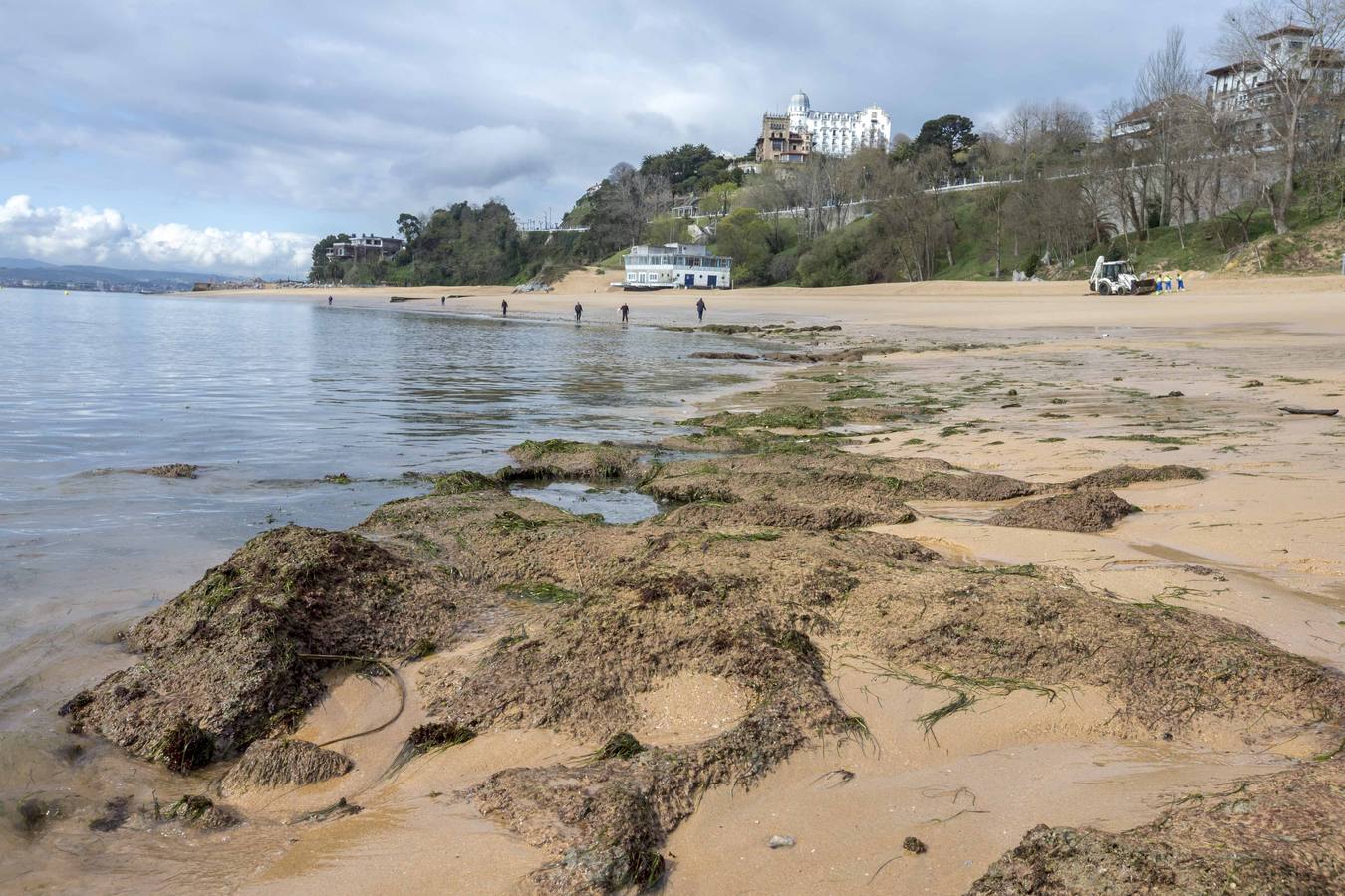 Fotos: La Playa de La Magdalena, ayer en la bajamar