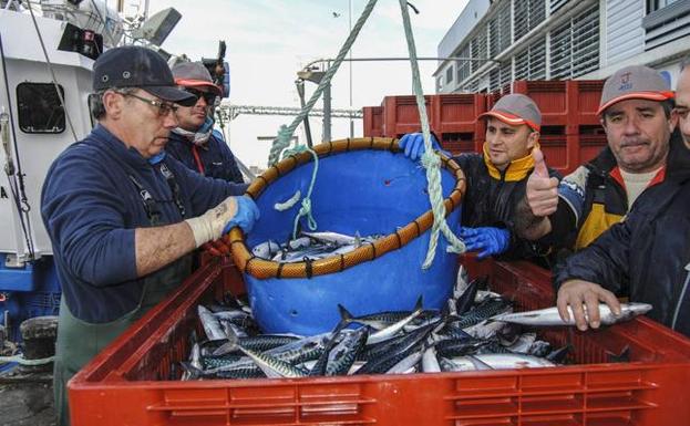 Los pescadores cántabros dicen que la cuota adicional de verdel es «una miseria»