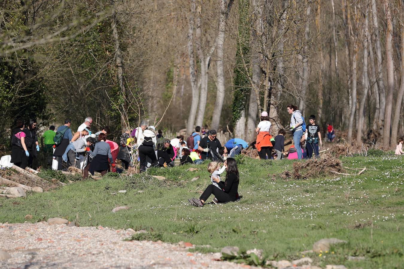 Fotos: Los voluntarios retiran plástico y limpian del río Saja