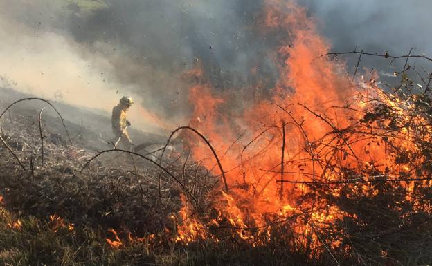 Los efectivos trabajan en la extinción del incendio de La Maza, en Vega de Pas.