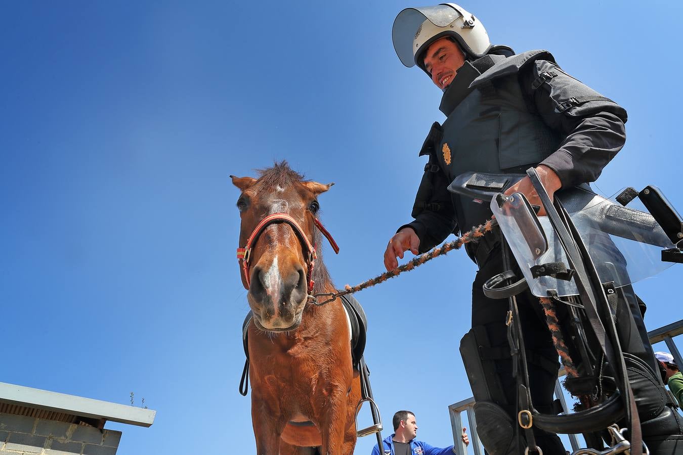 Fotos: La excelencia caballar de Ibio