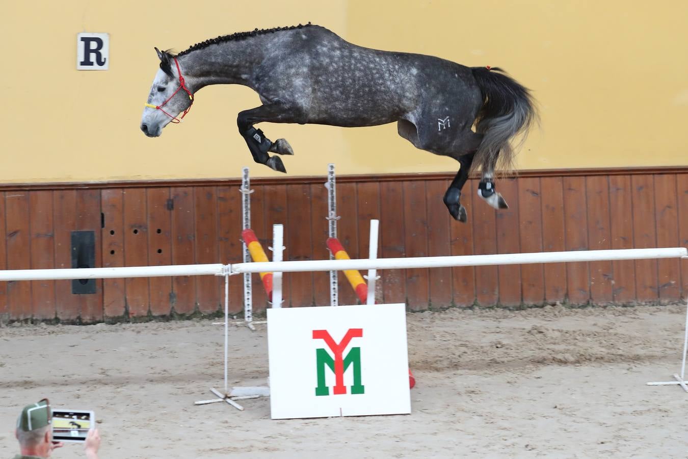 Fotos: La excelencia caballar de Ibio