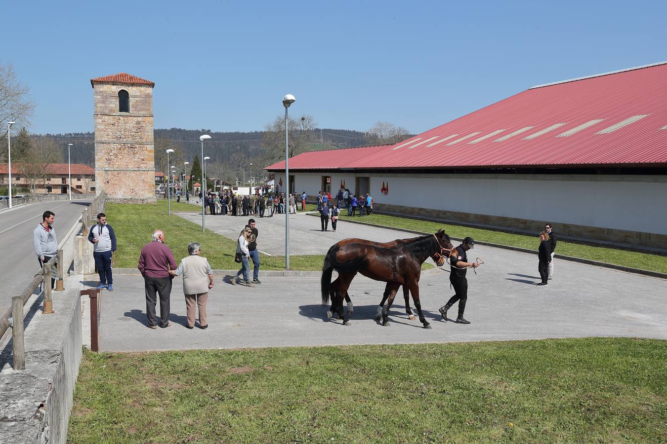 Fotos: La excelencia caballar de Ibio