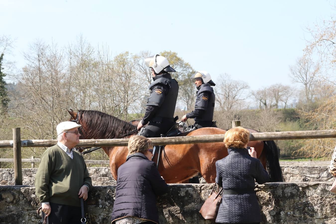 Fotos: La excelencia caballar de Ibio