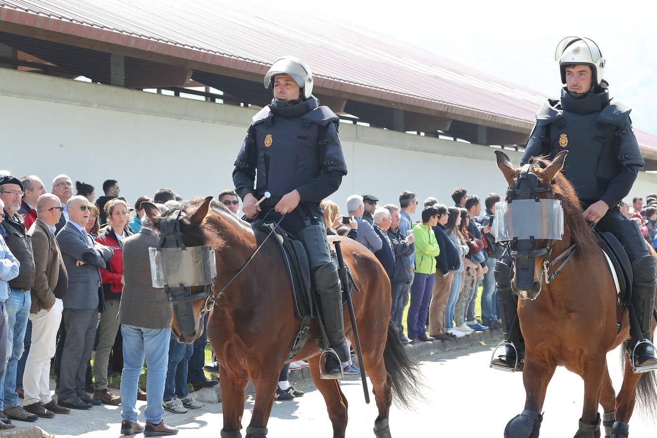 Fotos: La excelencia caballar de Ibio