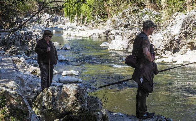 El bajo caudal de los ríos impide el desove del pez. 