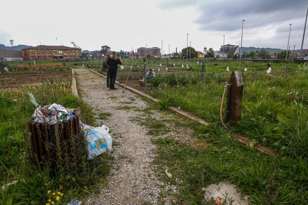 Sonia e Israel cuidan con esmero su parcela, rodeada de otras abandonadas y basura sin recoger
