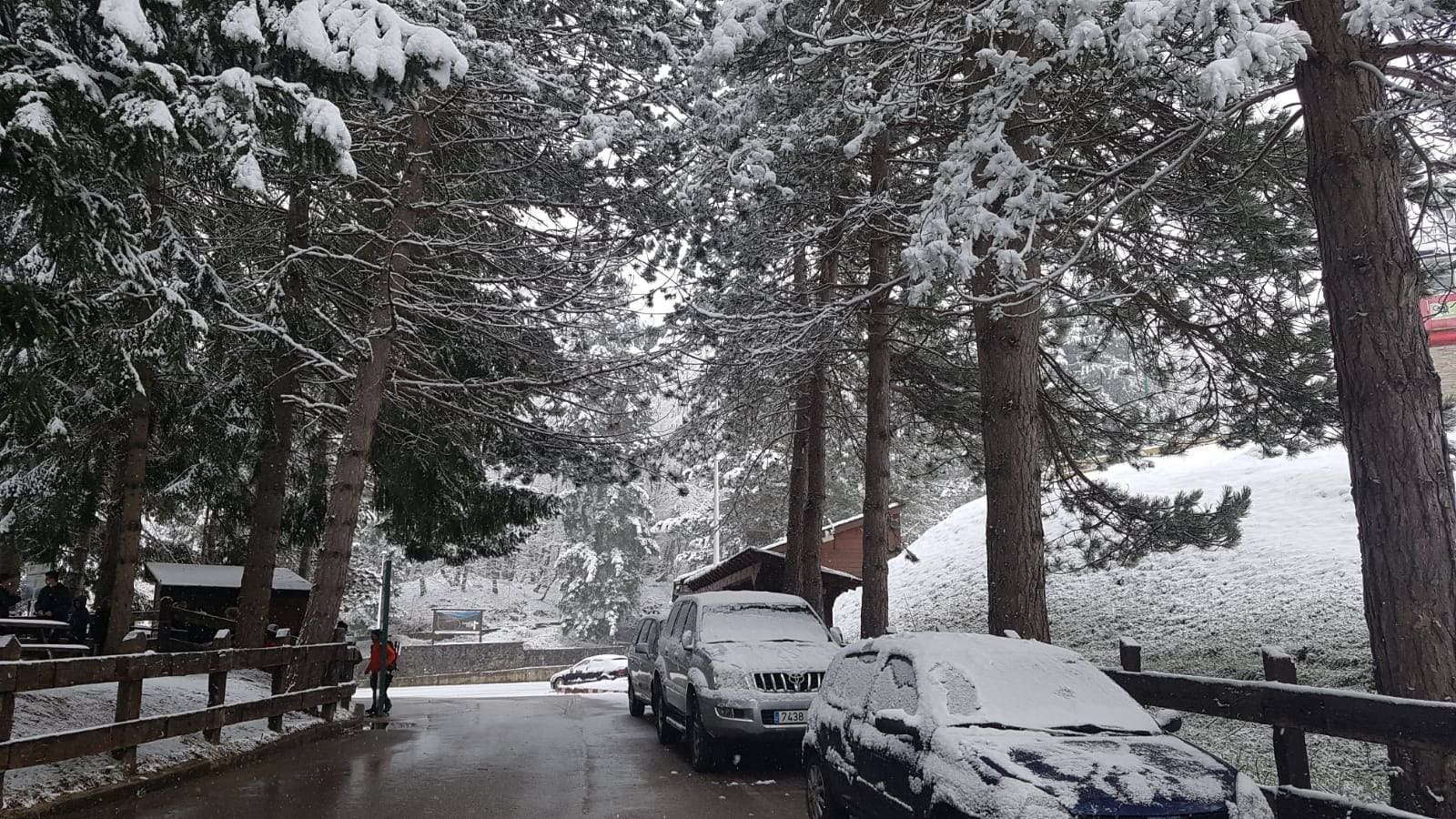 Imágenes de los paisajes nevados que estos días se pueden disfrutar en zonas como Fuente Dé, el acceso al puerto de san Glorio y Enterrías