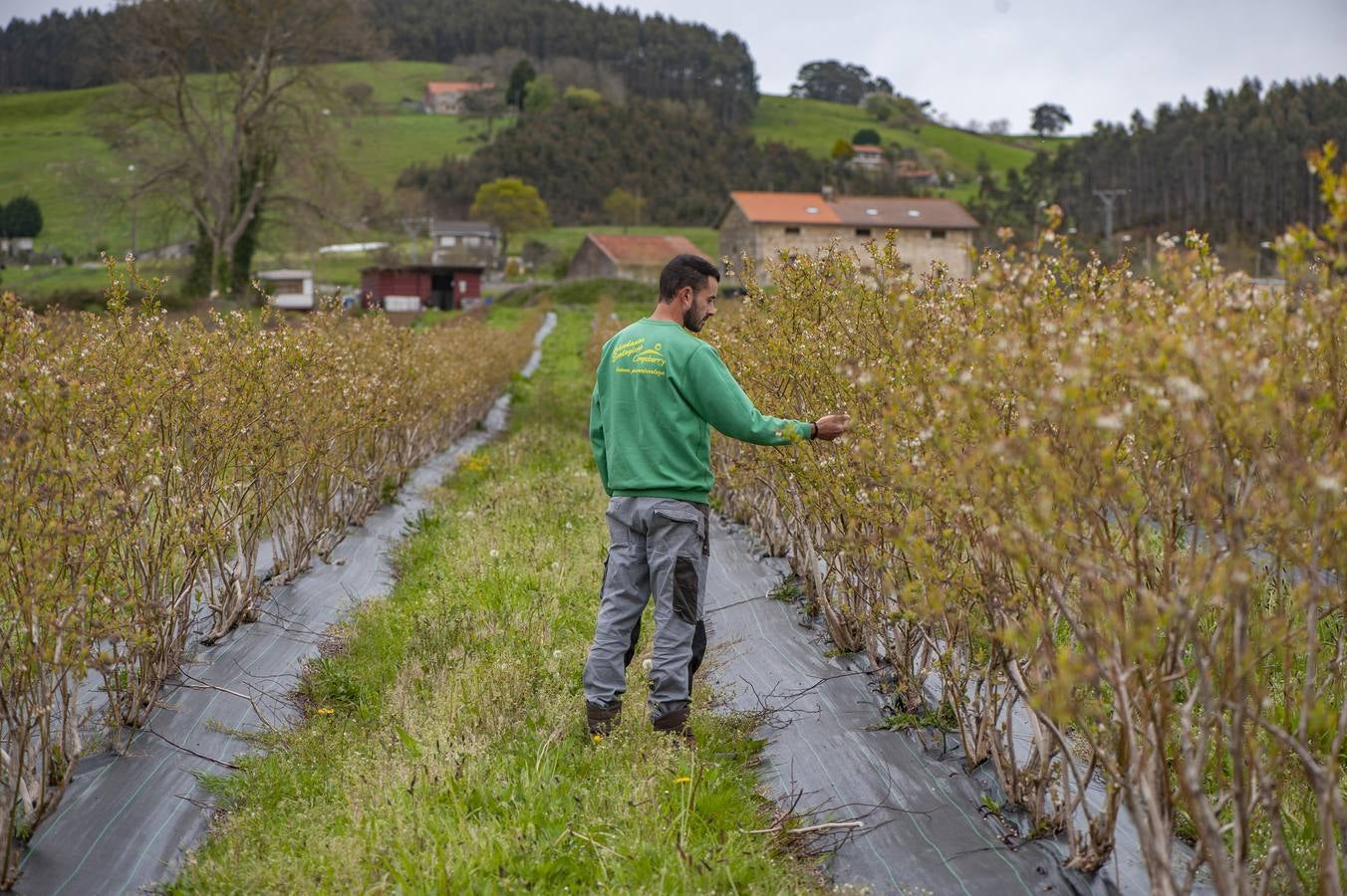 Fotos: EL sector agrícola, contento con la lluvia