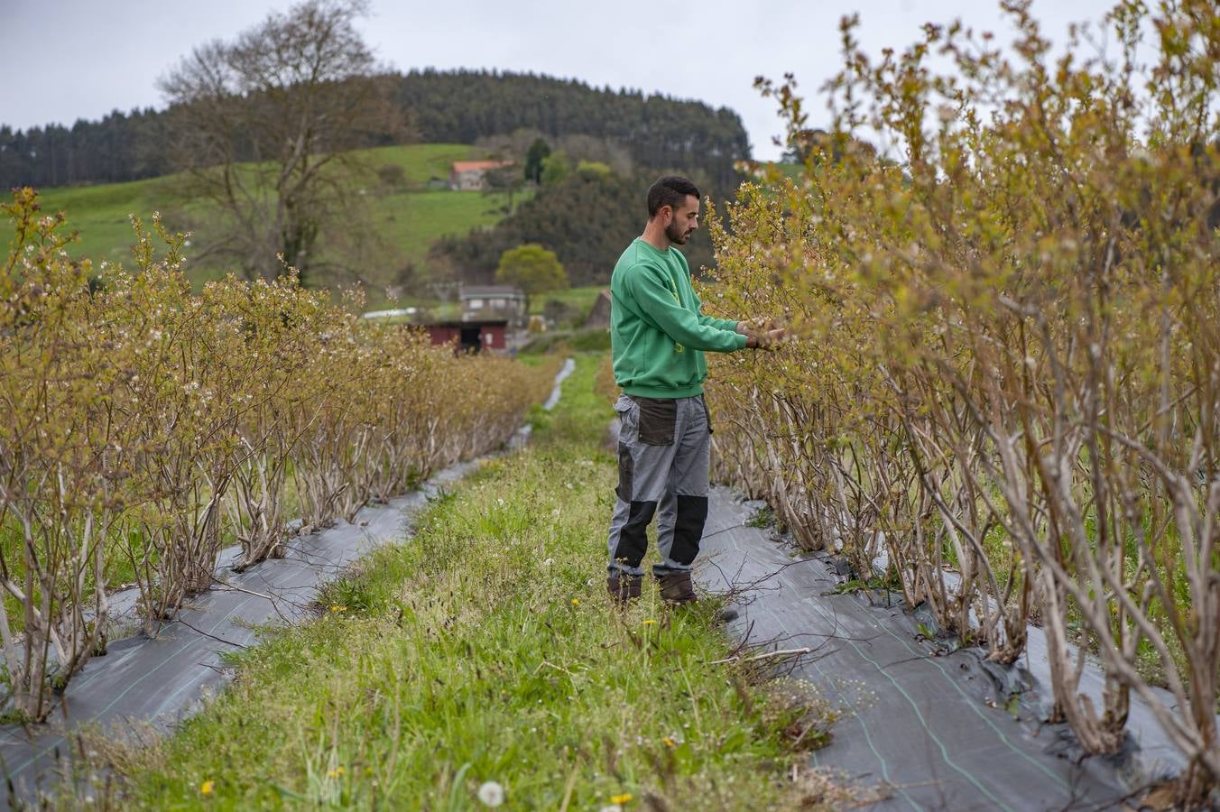 Fotos: EL sector agrícola, contento con la lluvia