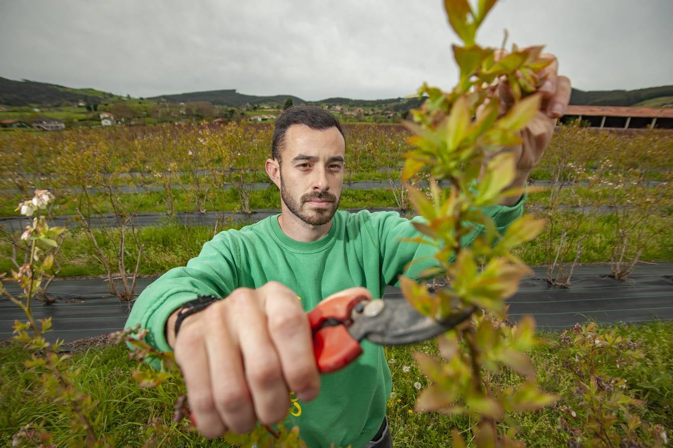 Fotos: EL sector agrícola, contento con la lluvia