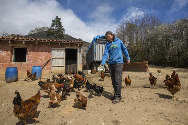 «Hay más perros que vecinos»