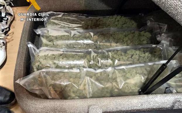 Imagen principal - Encuentran cocaína, éxtasis y potenciadores sexuales al desmantelar una plantación de marihuana en Sonabia