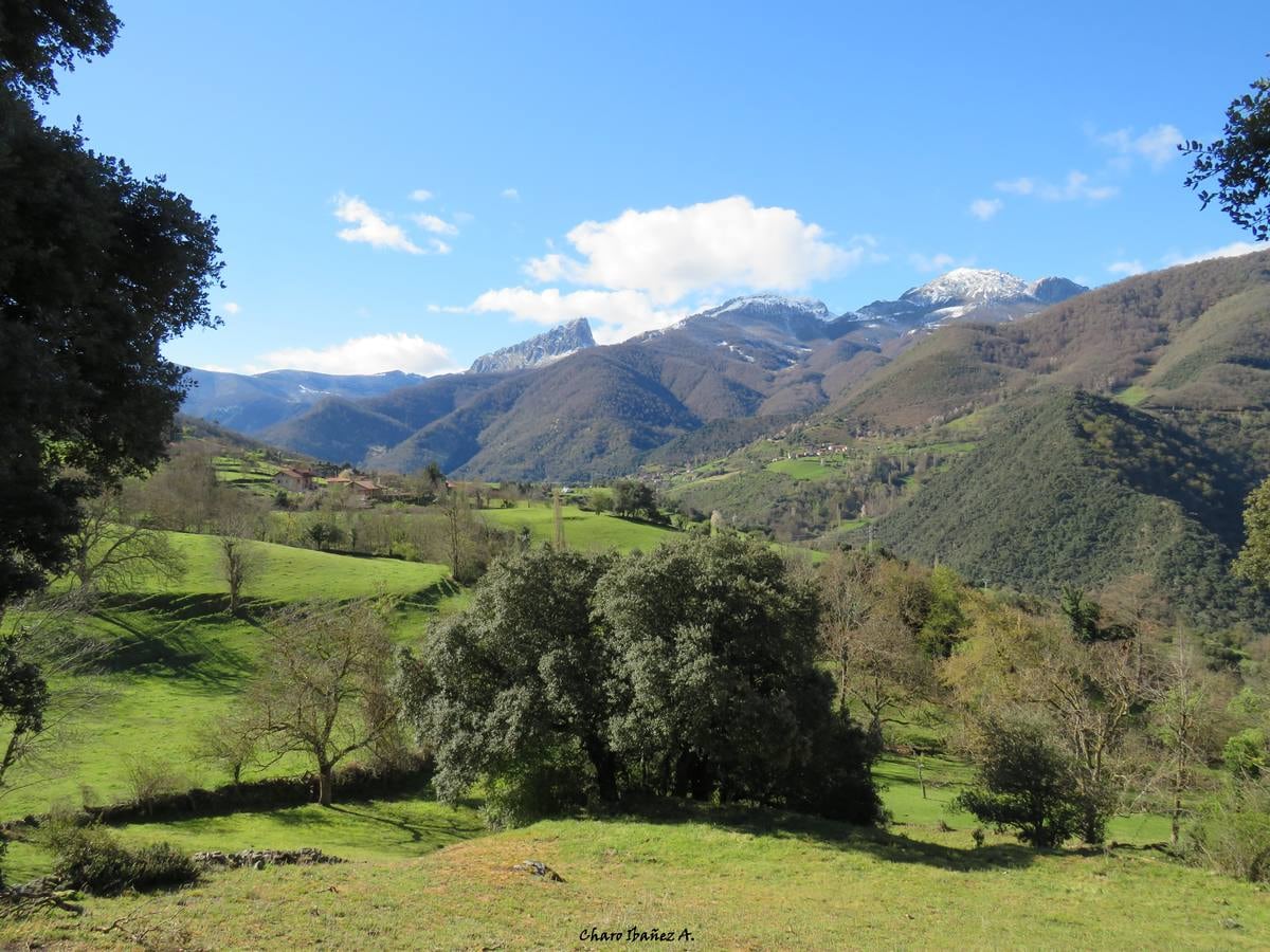 Los grupos de montaña Cacicedo y El Argayu nos enseñan este recorrido por el municipio lebaniego de Pesaguero