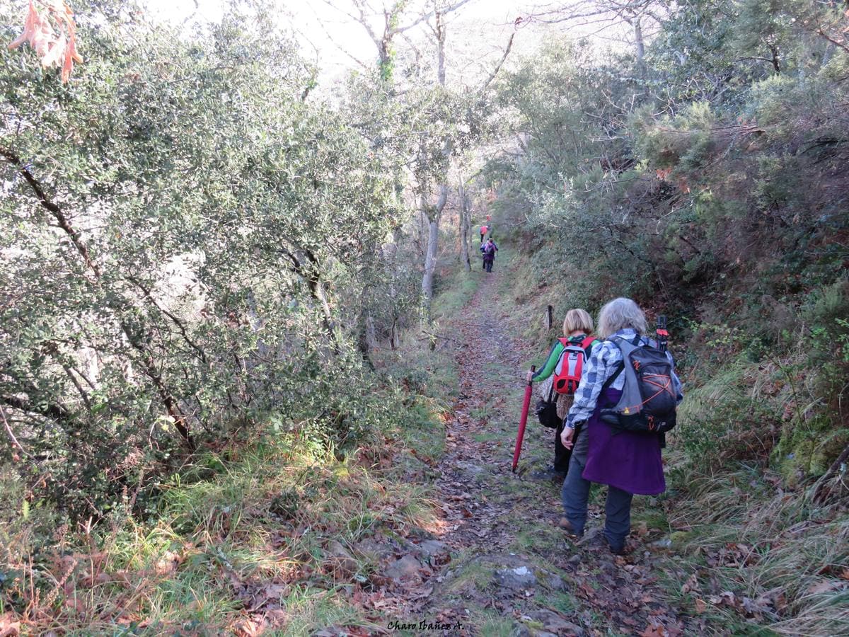 Los grupos de montaña Cacicedo y El Argayu nos enseñan este recorrido por el municipio lebaniego de Pesaguero