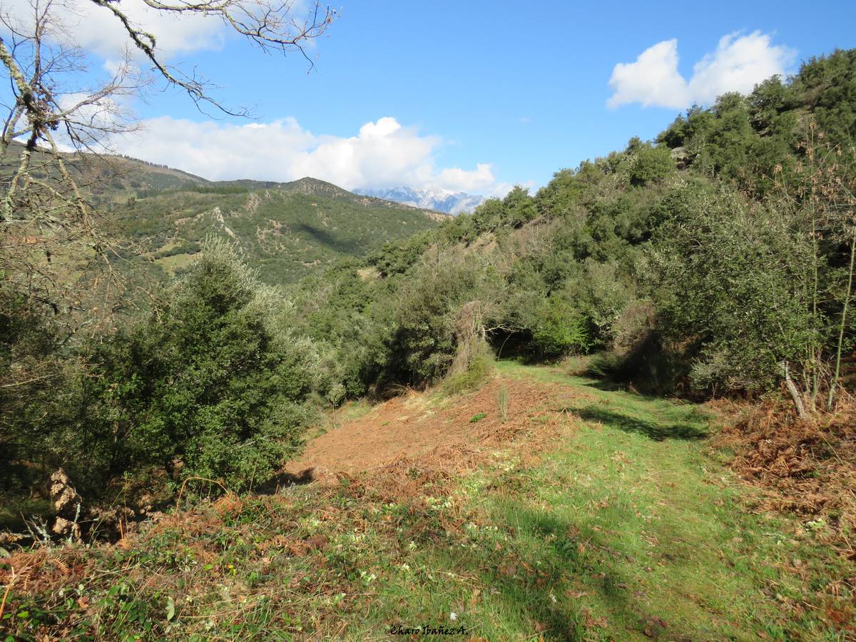 Los grupos de montaña Cacicedo y El Argayu nos enseñan este recorrido por el municipio lebaniego de Pesaguero