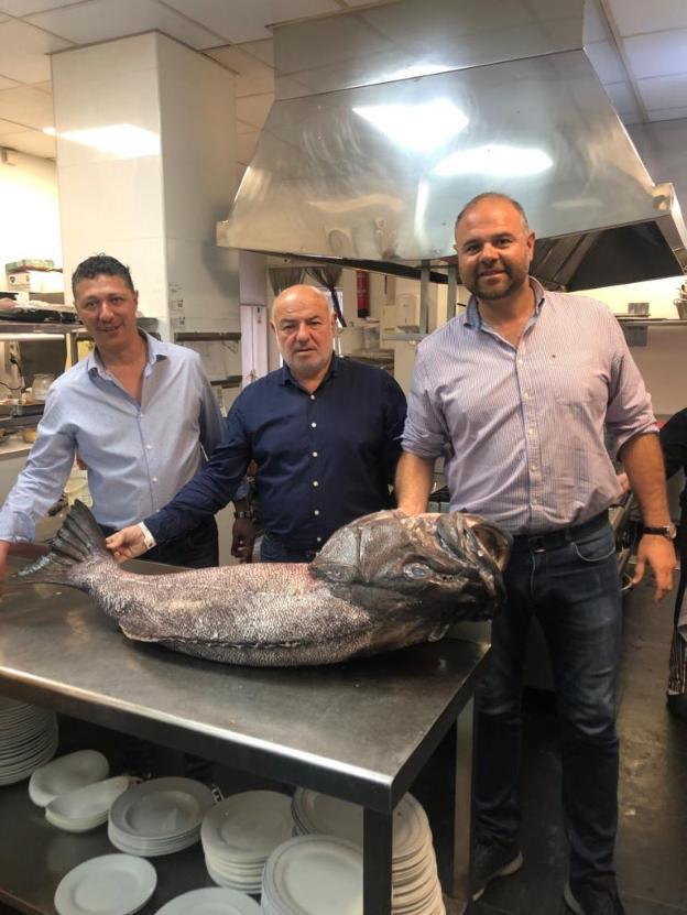 Espectacular mero de 57 kilos en La Flor de Miranda