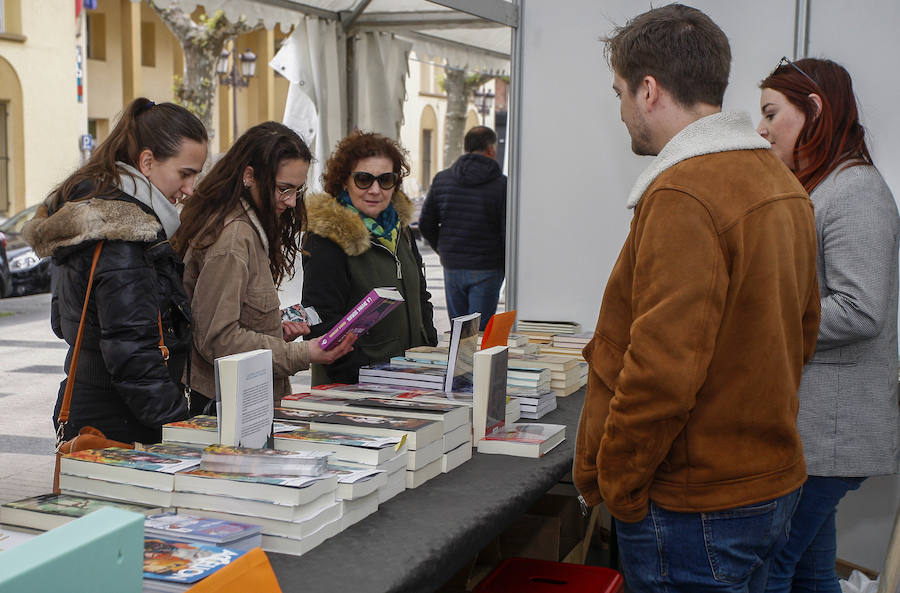 Fotos: La Feria del Libro de Torrelavega