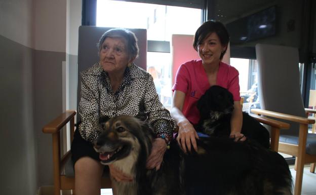 Imagen principal - El primero de los animales, 'Lobo', llegó al centro hace dos años y 'Lucky' este mayo cumple su primer año dentro de la gran familia..