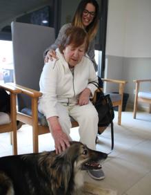 Imagen secundaria 2 - El primero de los animales, 'Lobo', llegó al centro hace dos años y 'Lucky' este mayo cumple su primer año dentro de la gran familia..