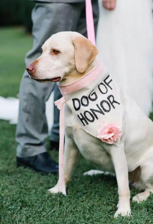 La mascota puede tener participación activa en la celebración.