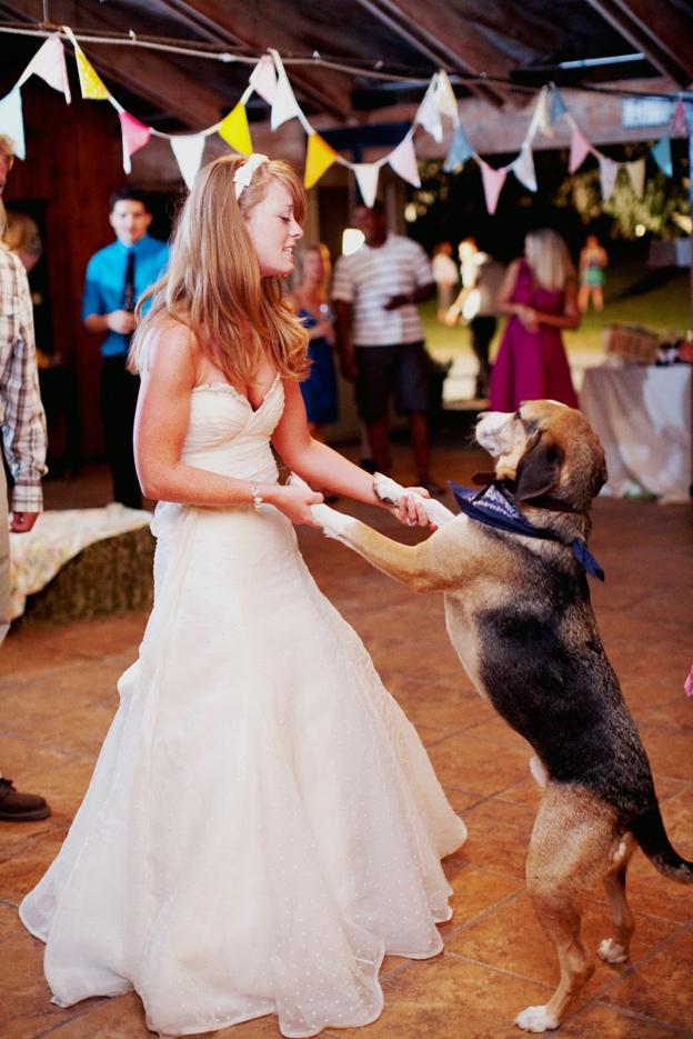 Hasta en el baile puede intervenir la mascota.