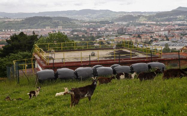 El depósito de Cuatro Vientos se va a duplicar con la construcción de un nuevo vaso.