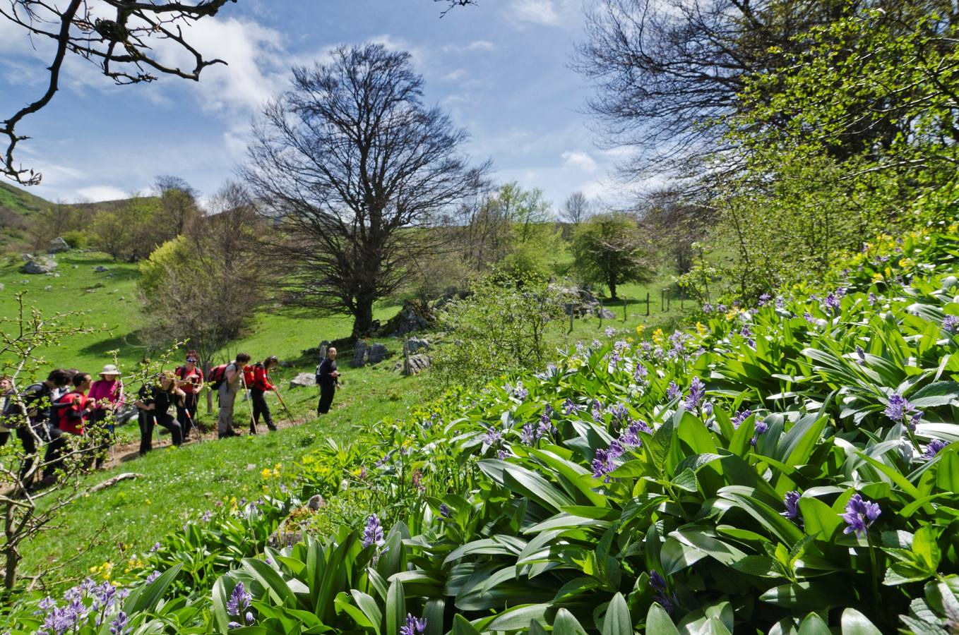 Naturea propone una gran variedad de actividades en las áreas protegidas de Cantabria, con propuestas para todo tipo de públicos y que se adaptan a cada época del año, brindando la posibilidad al visitante de conocer todas las caras de las áreas naturales. Cada una de las áreas protegidas en las que trabajamos dispone de un Centro de Interpretación de referencia desde el que se gestionan tanto itinerarios guiados, actividades de educación ambiental para escolares y trabajos de mantenimiento ambiental en la zona.