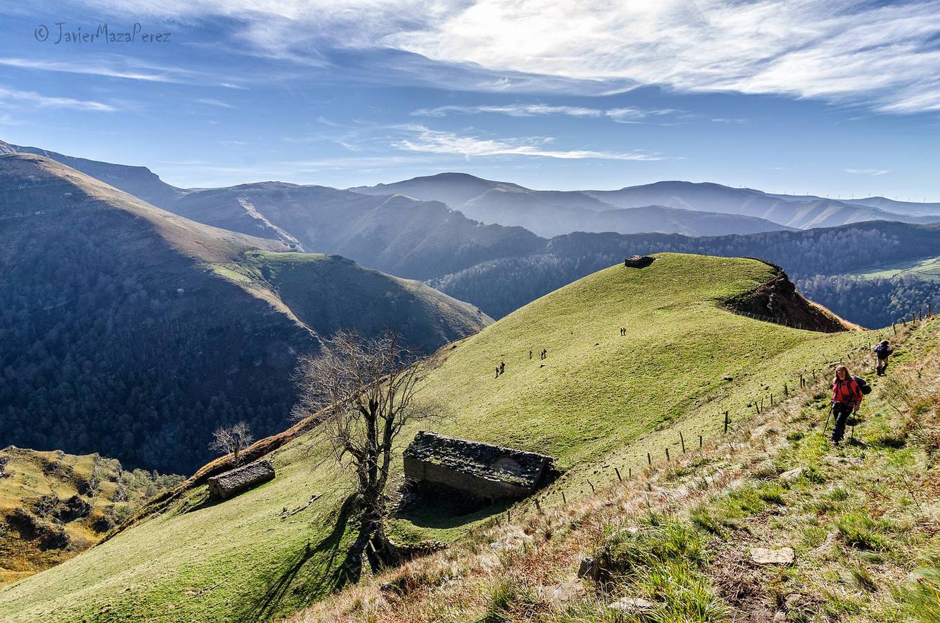 Naturea propone una gran variedad de actividades en las áreas protegidas de Cantabria, con propuestas para todo tipo de públicos y que se adaptan a cada época del año, brindando la posibilidad al visitante de conocer todas las caras de las áreas naturales. Cada una de las áreas protegidas en las que trabajamos dispone de un Centro de Interpretación de referencia desde el que se gestionan tanto itinerarios guiados, actividades de educación ambiental para escolares y trabajos de mantenimiento ambiental en la zona.