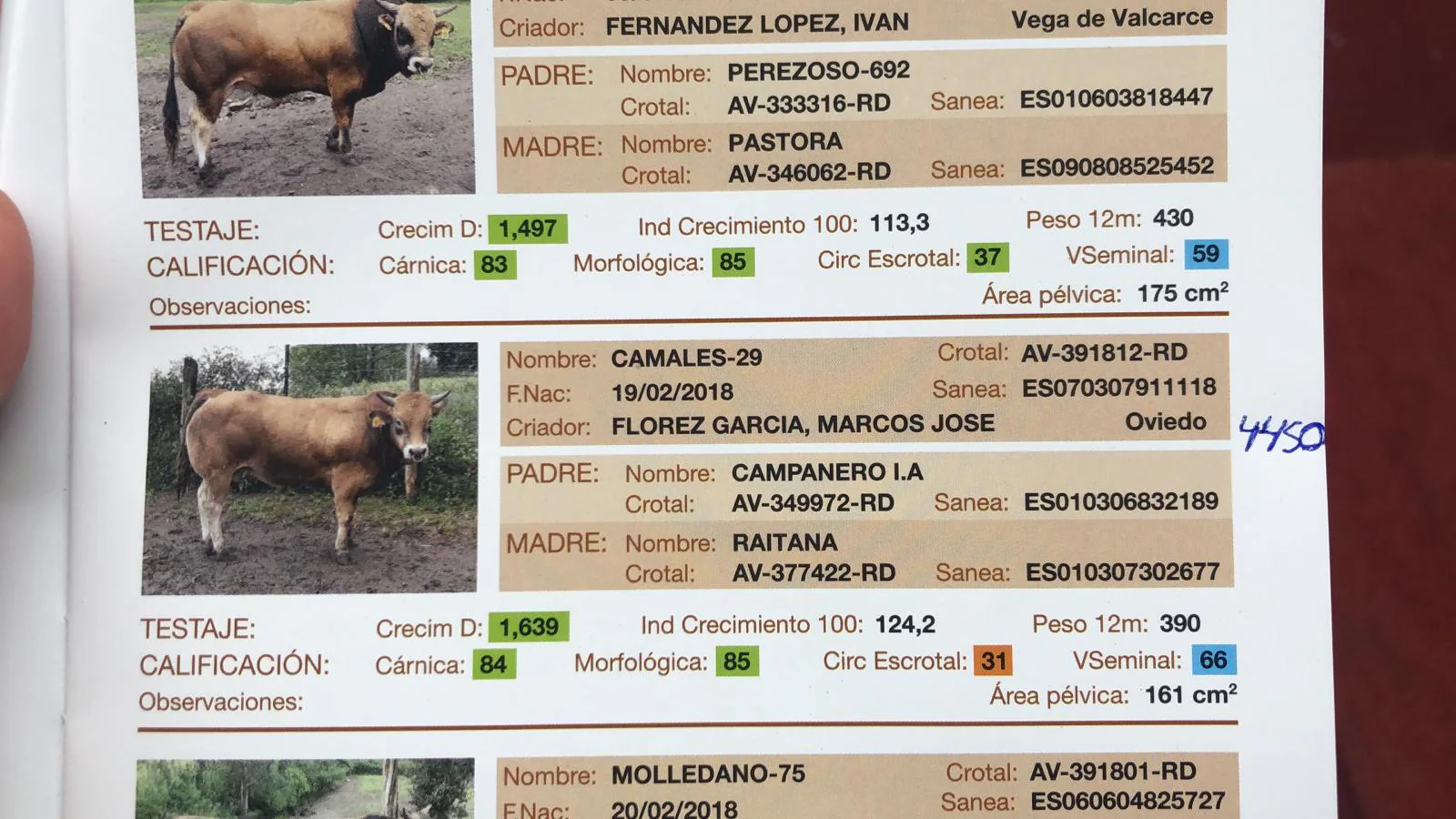 Toro vendido en 4.450 euros.