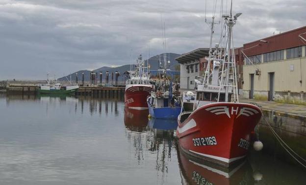 Pesqueros en el puerto de Santoña. 