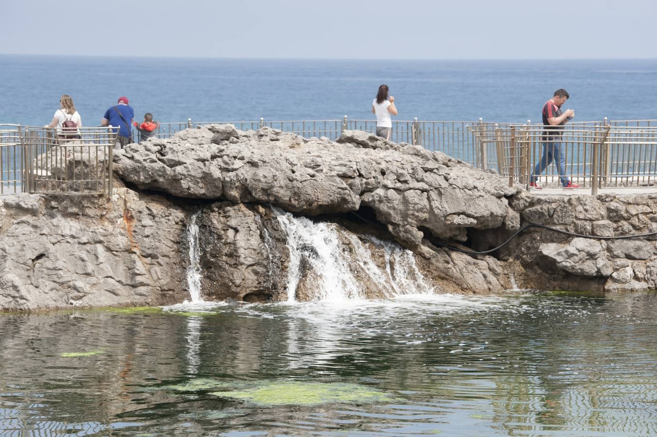 Ecologistas en Acción y Arca alertan de que la marea verde es una proliferación excesiva de algas debida a la existencia de gran cantidad de nutrientes en el medio acuático