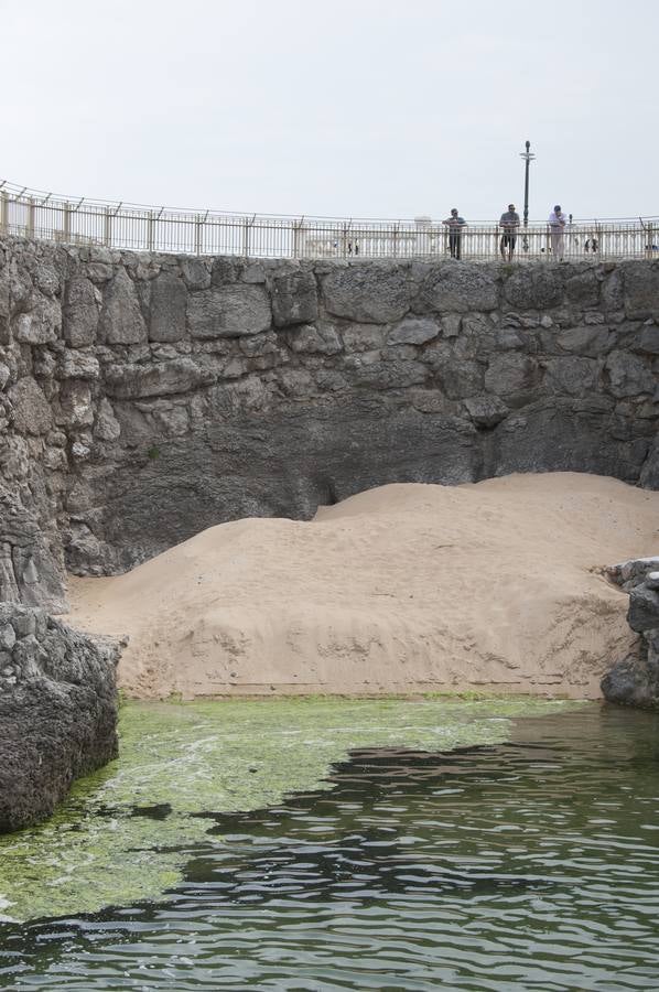 Ecologistas en Acción y Arca alertan de que la marea verde es una proliferación excesiva de algas debida a la existencia de gran cantidad de nutrientes en el medio acuático