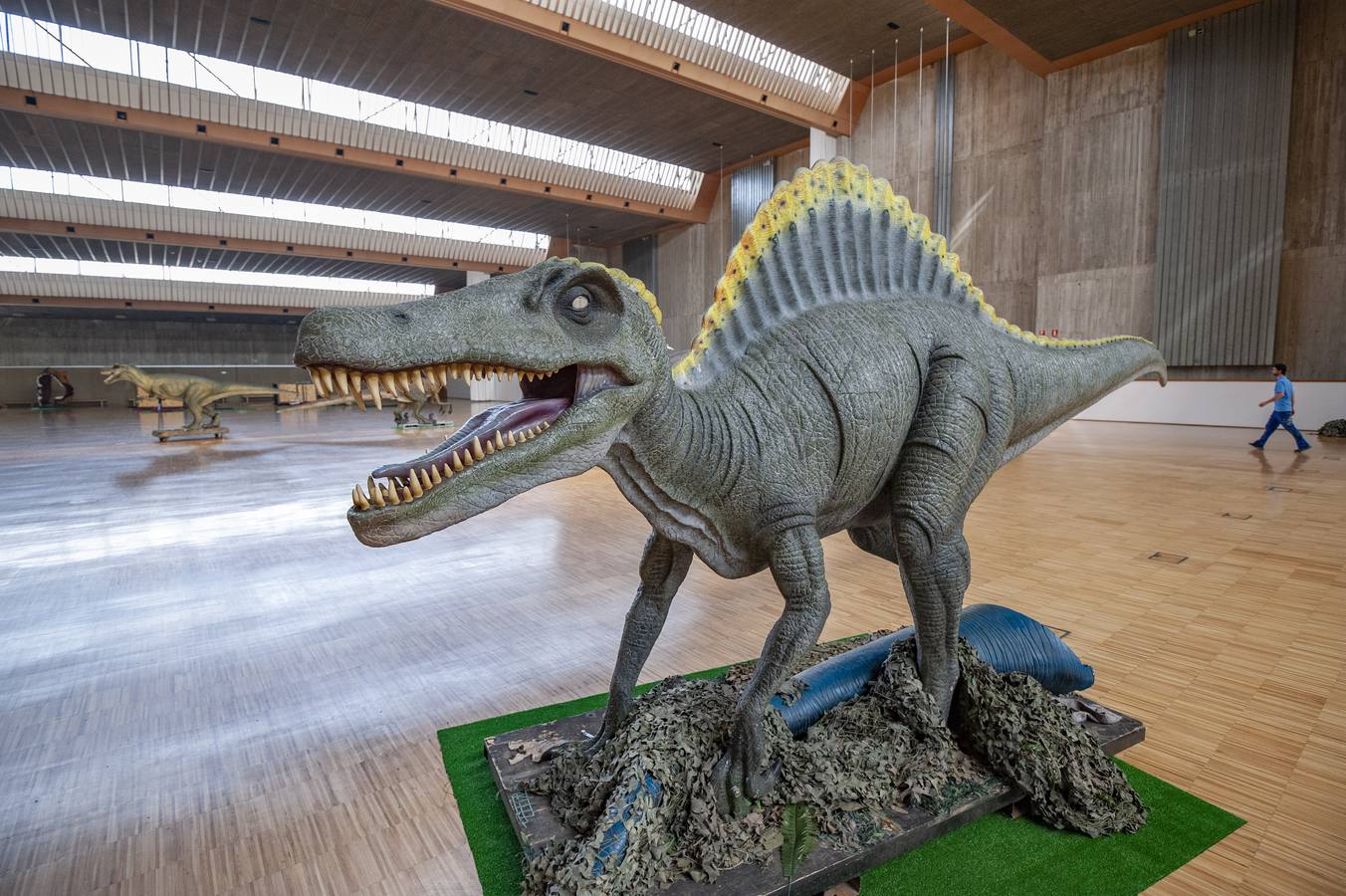 Fotos: Expo Dino XXL ya está en Santander