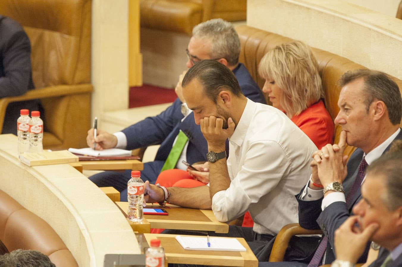 Bancada regionalista con el nuevo alcalde de Torrelavega y diputado, Javier López Estrada en el centro