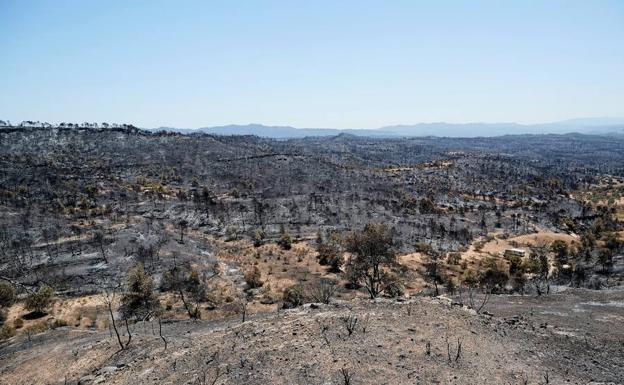 Vista de los montes quemados por el incendio de Ribera d'Ebre.