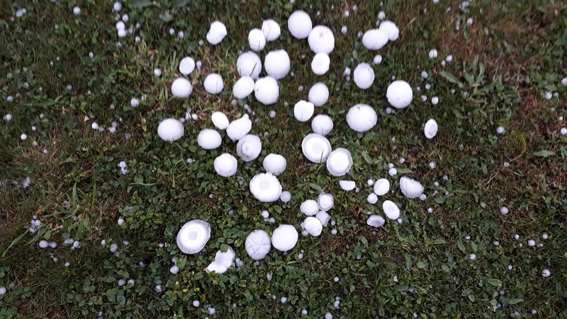 Fotos: Granizos como «pelotas de tenis» en Cabezón de la Sal