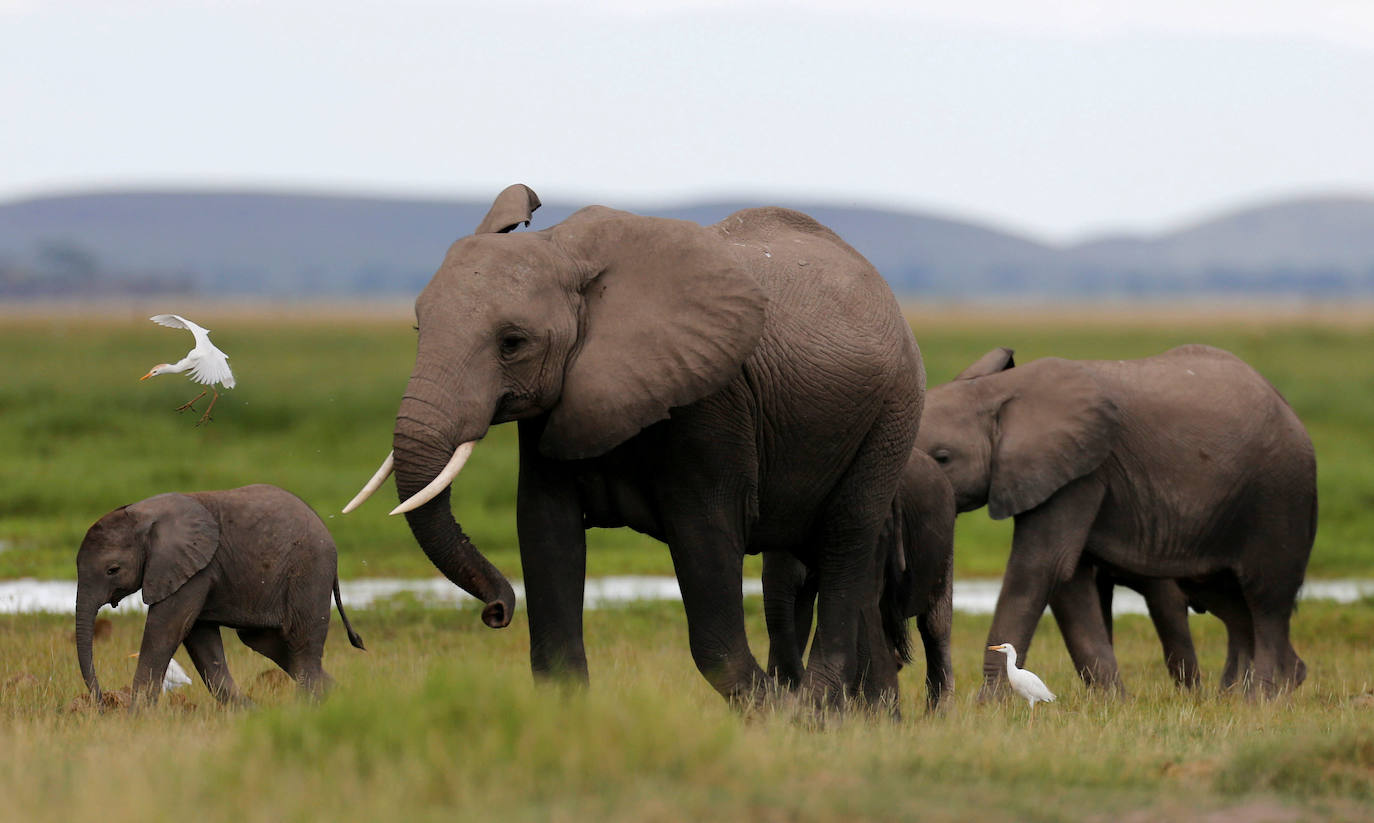 Kenia: la alerta por atentado terrorista es alta en todo el país. Se recomienda especial precaución en la zona oeste y la zona costera, así como en las zonas deprimidas de los centros urbanos. Desde el pasado mes de mayo se han detectado en Nairobi brotes de cólera. Además, se ha tenido noticia de atracos vinculados a páginas de Internet y aplicaciones de contactos.