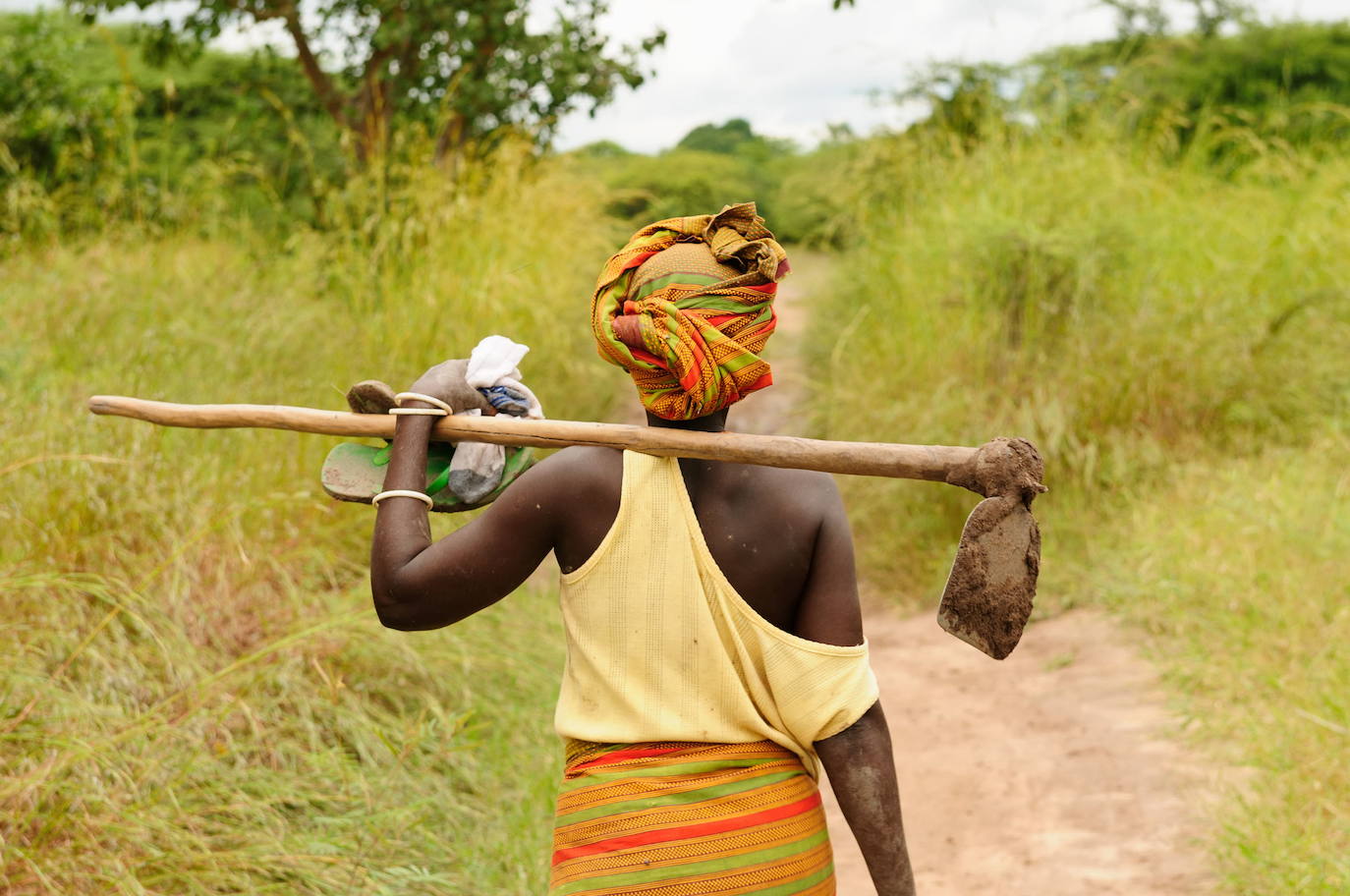 Tanzania: la situación política en Tanzania es considerablemente estable pero existe un malestar social en el país que puede derivar en disturbios localizados y cierta agitación política. Por otro lado, existe una potencial amenaza terrorista en toda la región del África Oriental en la que se incluye Tanzania. Han aumentado los robos a turistas y los casos de secuestros breves por parte de falsos taxistas. Conviene evitar las fronteras con Burundi, República Democrática del Congo y Ruanda.