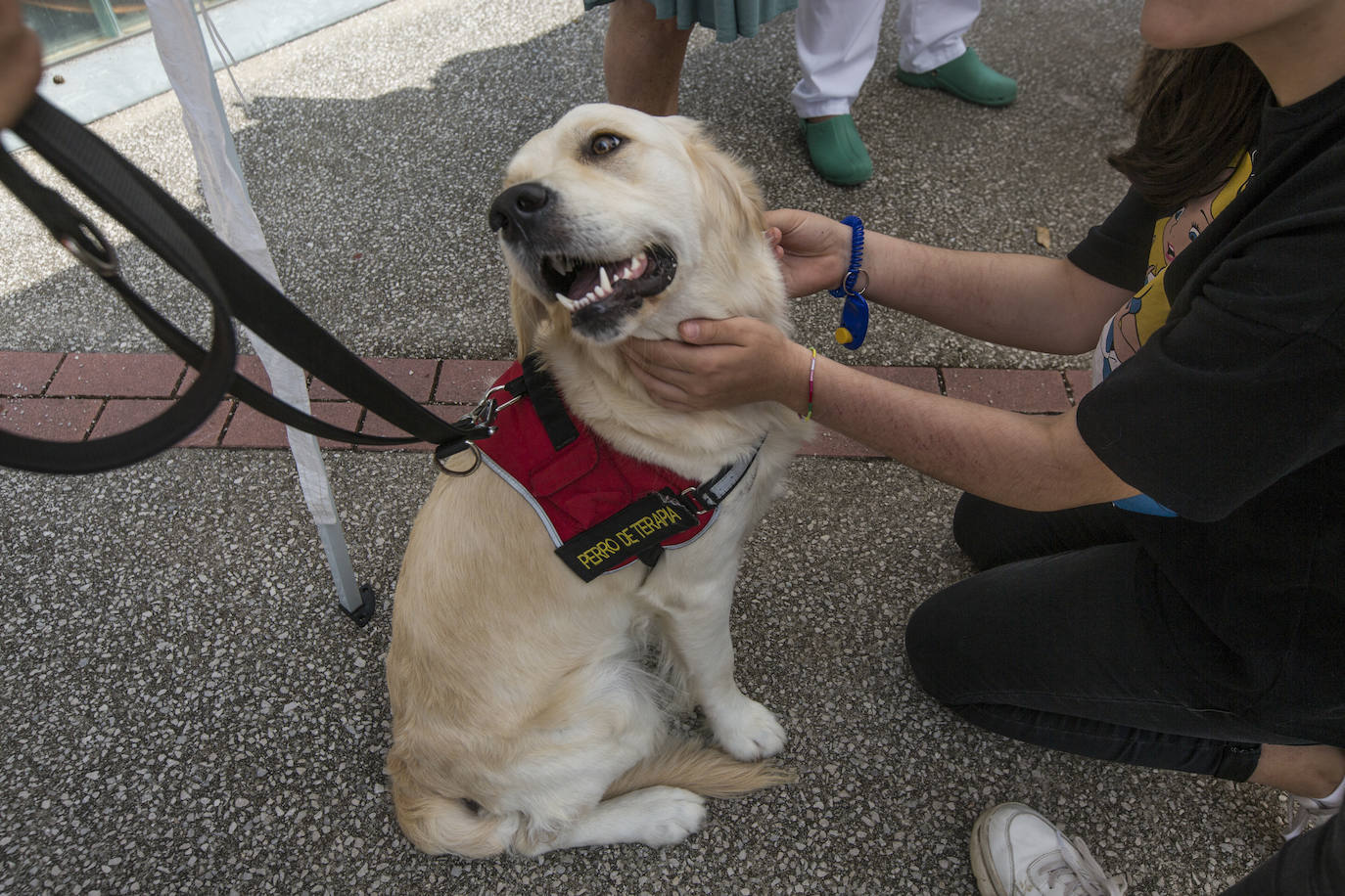 Fotos: Ayuda canina para los niños de Valdecilla