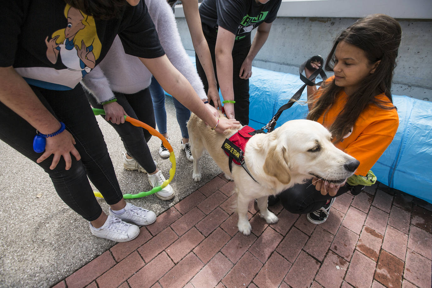 Fotos: Ayuda canina para los niños de Valdecilla