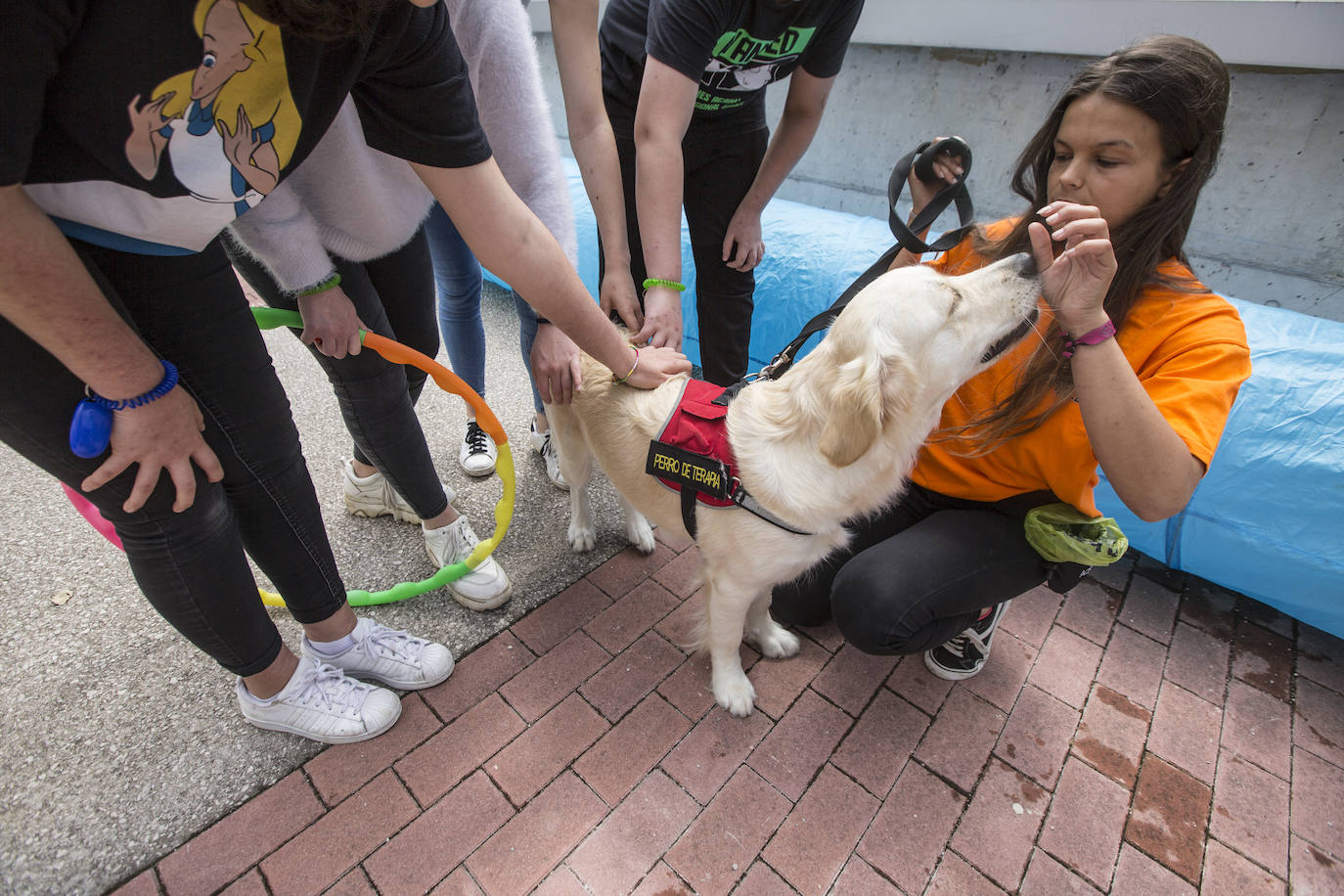 Fotos: Ayuda canina para los niños de Valdecilla