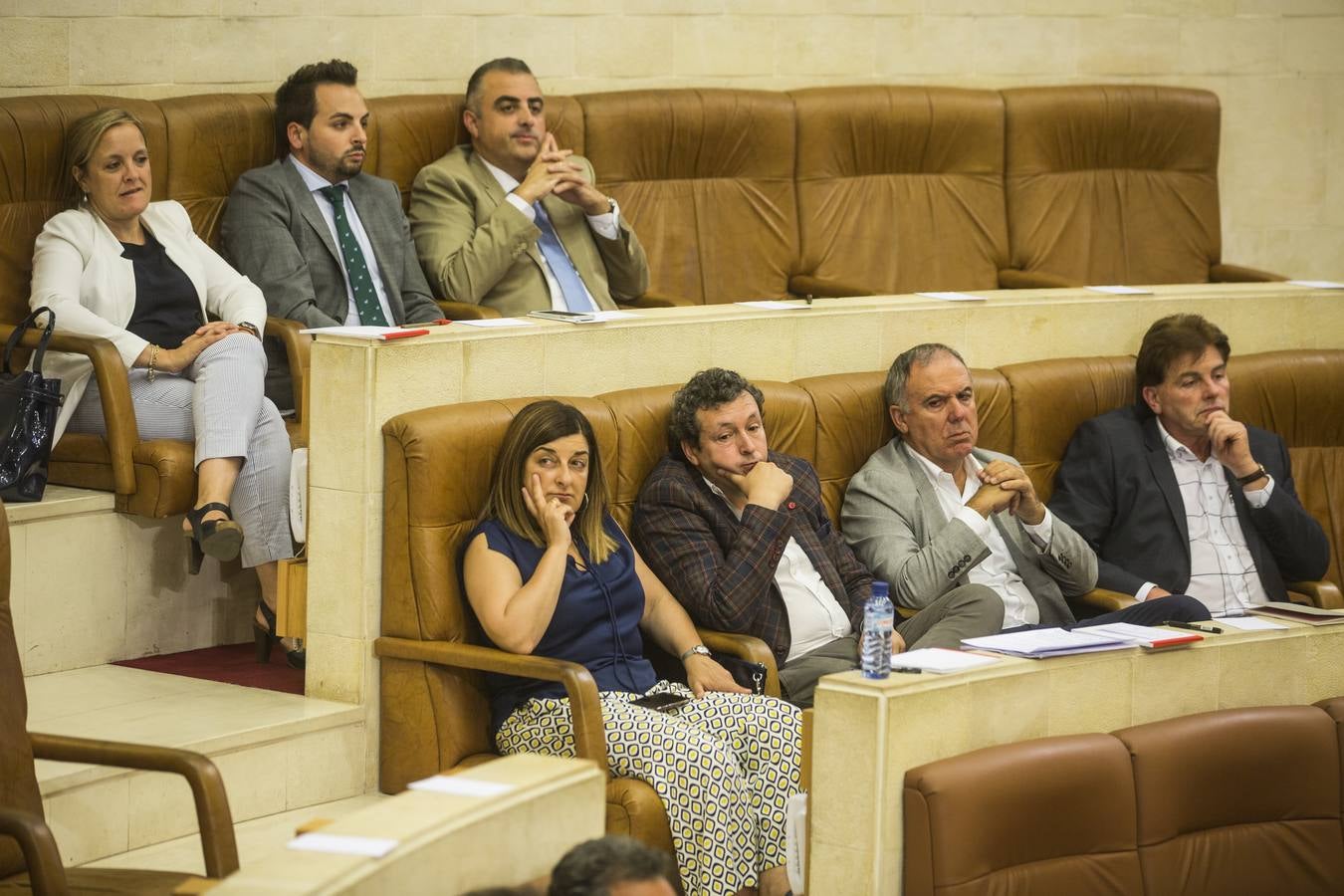 Fotos: Pleno para elegir el senador autonómico de Cantabria. Los consejeros se estrenan en su bancada