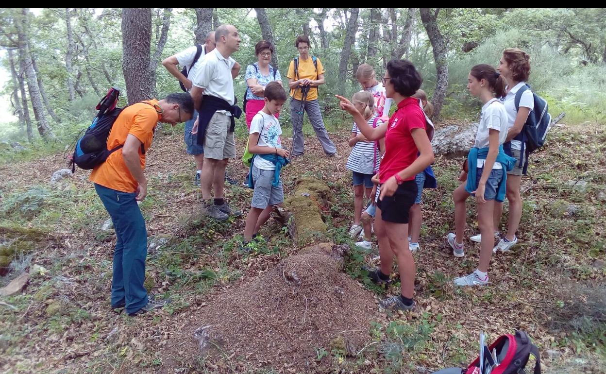 Una de las salidas organizadas por Naturea Cantabria.