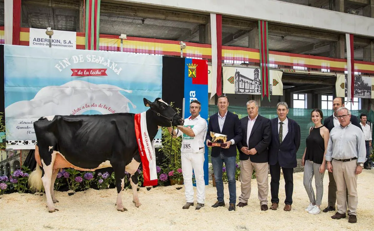 La vaca Llinde Ariel Jorda, gran campeona del Concurso de Ganado Frisón de Torrelavega